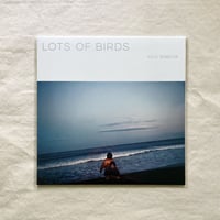 〈LP〉澁谷浩次｜LOTS OF BIRDS
