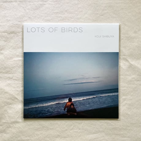 〈LP〉澁谷浩次｜LOTS OF BIRDS