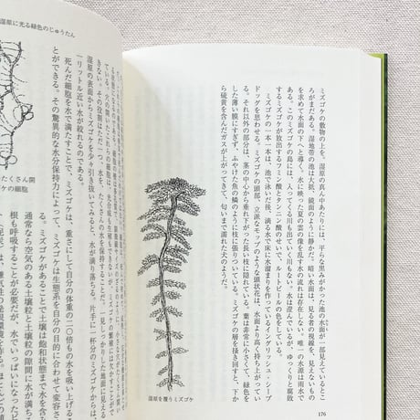 Robin Wall Kimmerer｜コケの自然史