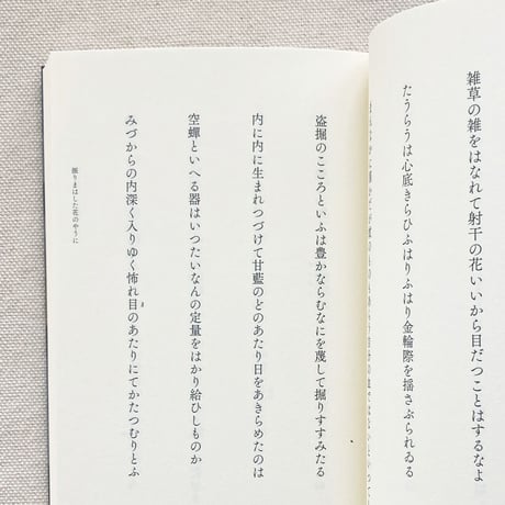 平井弘｜振りまはした花のやうに