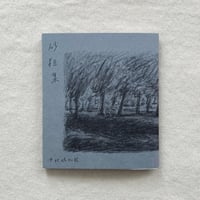 中村佐知絵｜砂粒集