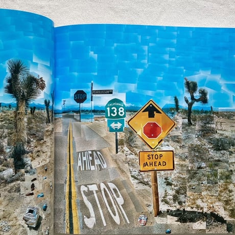 David Hockney｜HOCKNEY's  PICTURES