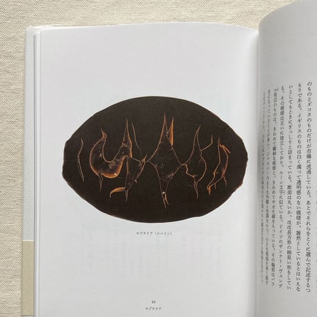 ロジェ・カイヨワ｜石が書く