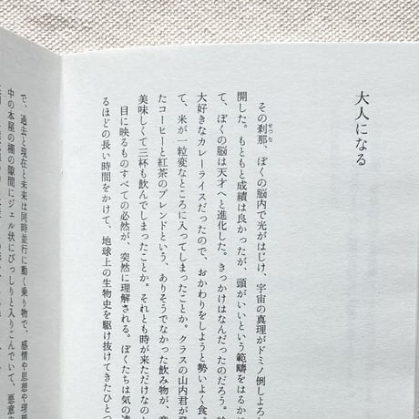 かとうひろみ｜小さい本屋の小さい小説