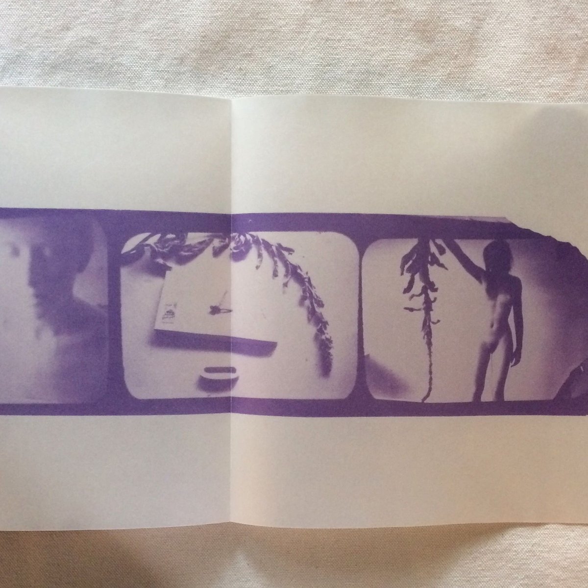 Francesca Woodman｜PHOTOGRAPHS 1975-1980 | 曲線