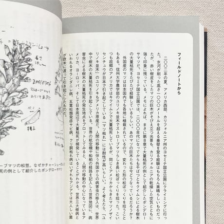 深澤遊｜枯木ワンダーランド