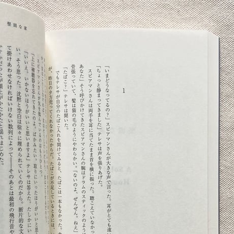 ジーン・リース｜あの人たちが本を焼いた日