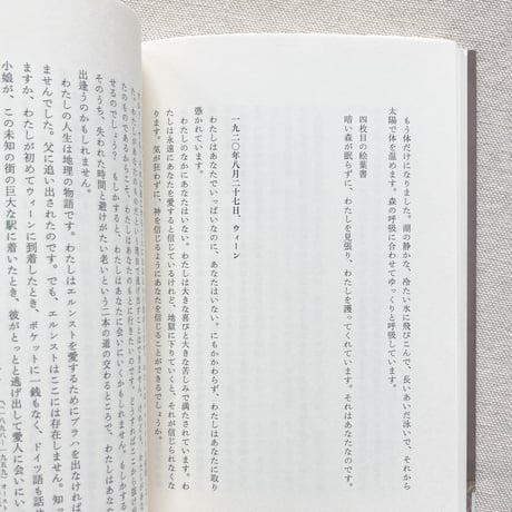 マイ＝フィリップ・ジョンシュレー ｜あなたの迷宮のなかへ