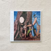 〈CD〉Tara Jane O’Neil｜The Cool Cloud of Okayness