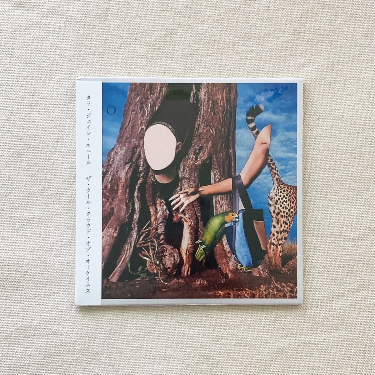 ゴシックアートのダム・ダーシーの挿絵と直筆サイン、カード付「Jane Eyre」 CD〉Tara Jane O'Neil｜The Cool Cloud of Okayness