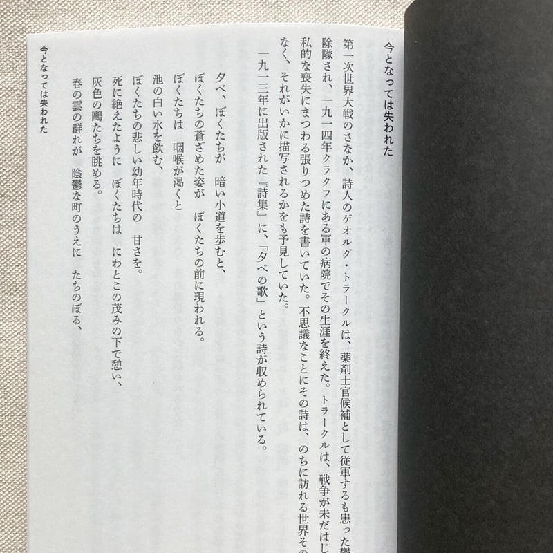 D.S.Lopes｜メランコリーと建築―アルド・ロッシ | 曲線