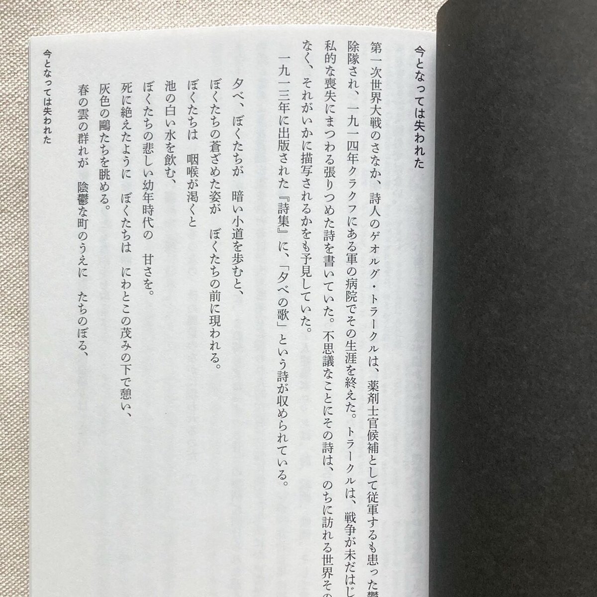 D.S.Lopes｜メランコリーと建築―アルド・ロッシ | 曲線
