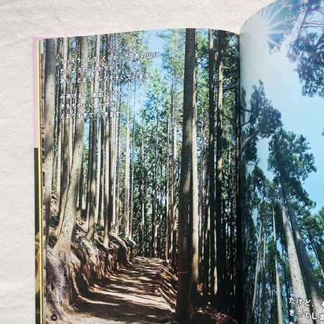 キッチンミノル｜山の木、とどけ！