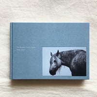 木村和平｜灯台 | 曲線