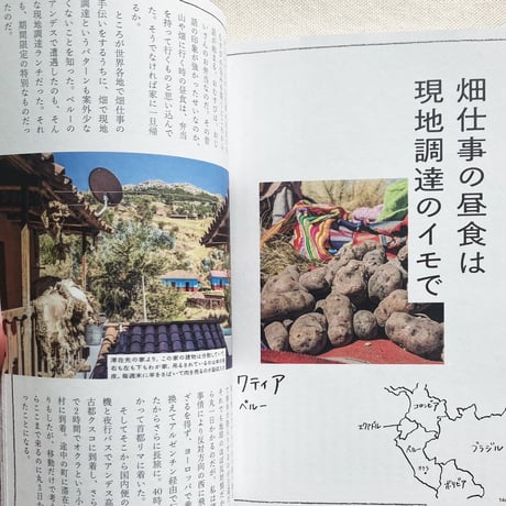 岡根谷実里｜世界のお弁当とソトごはん