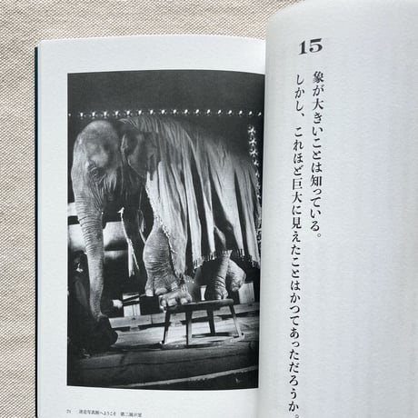 大竹昭子｜迷走写真館へようこそ