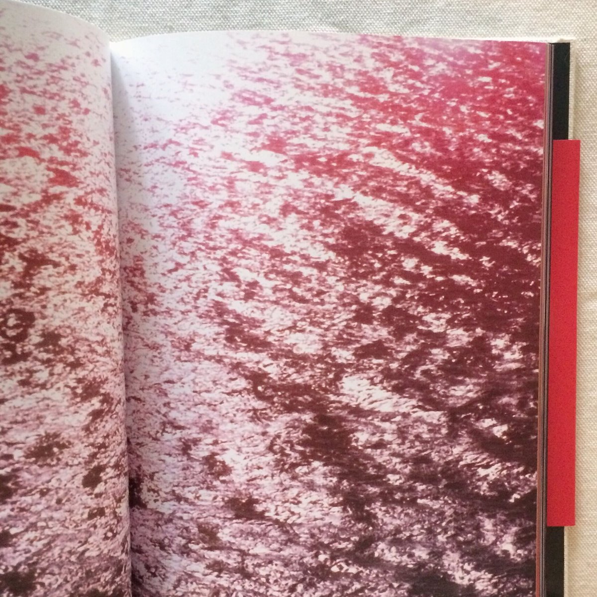新品、Abandom Reverie` マークボスウィック Abandom Reverie` - マーク・ボスウィック | shashasha 写々者