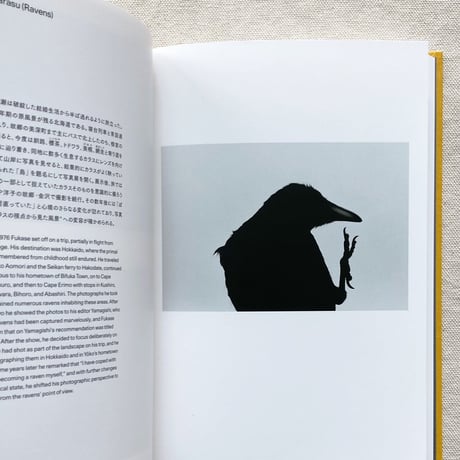 深瀬昌久｜1961ー1991 Retrospective