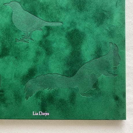 Lia Darjes｜PLATES I-XXXI