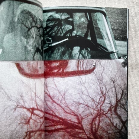 Seiichi Furuya｜FIRST TRIP TO BOLOGNA 1978 / LAST TRIP TO VENICE 1985
