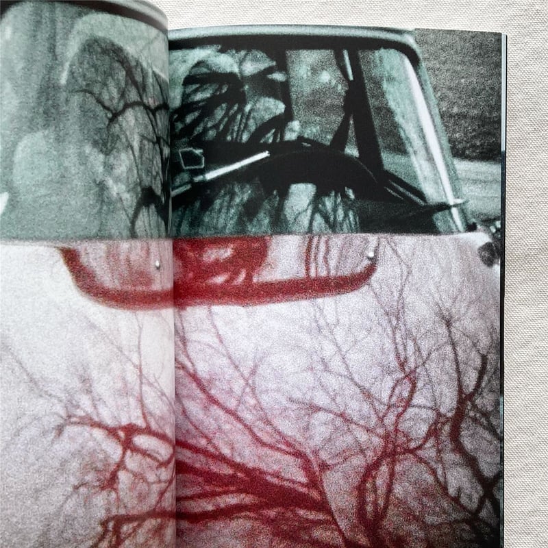 Seiichi Furuya｜FIRST TRIP TO BOLOGNA 1978 / LAS