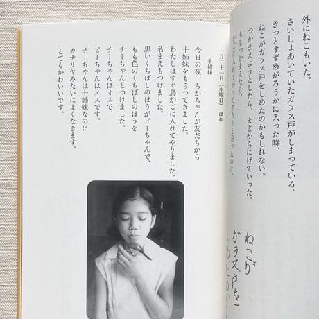 高野文子｜いずみさん、とっておいてはどうですか