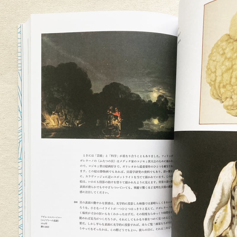 絵画の歴史 洞窟壁画からiPadまで | 曲線