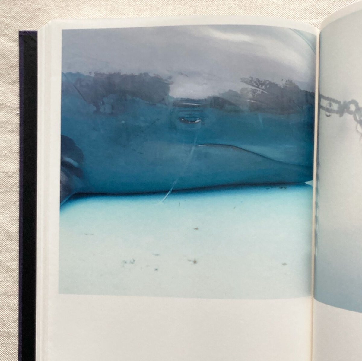 ILLUMINANCE  川内倫子 Rinko Kawauchi – 川内倫子 | Illuminance