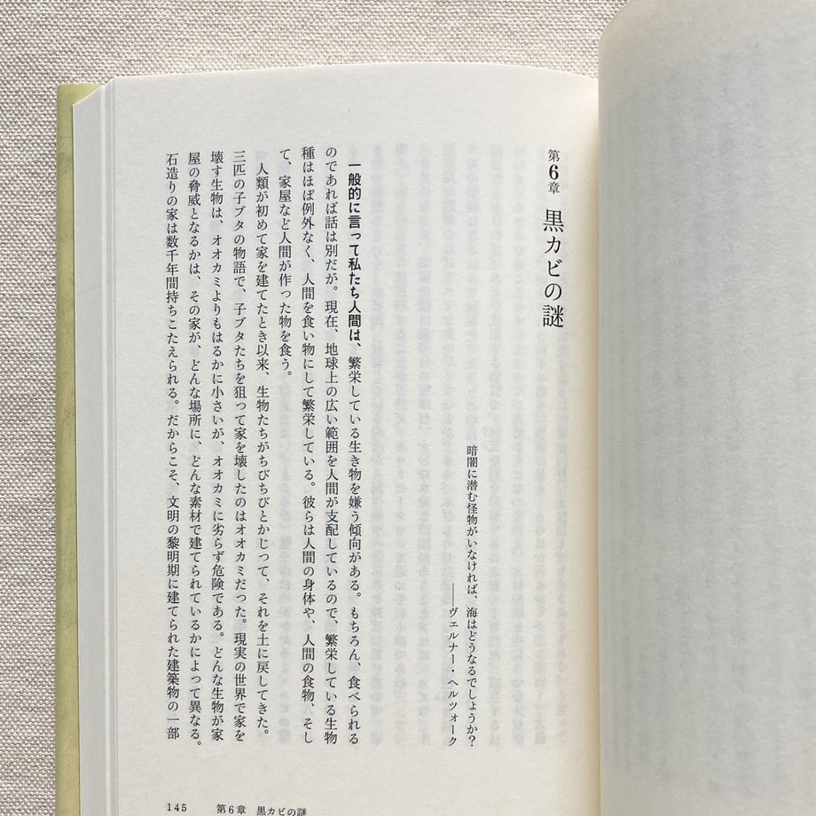 665579b9b354bf091e356d3a