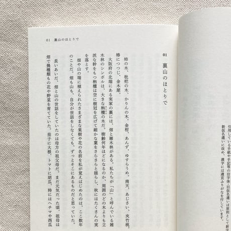 石井美保｜裏庭のまぼろし