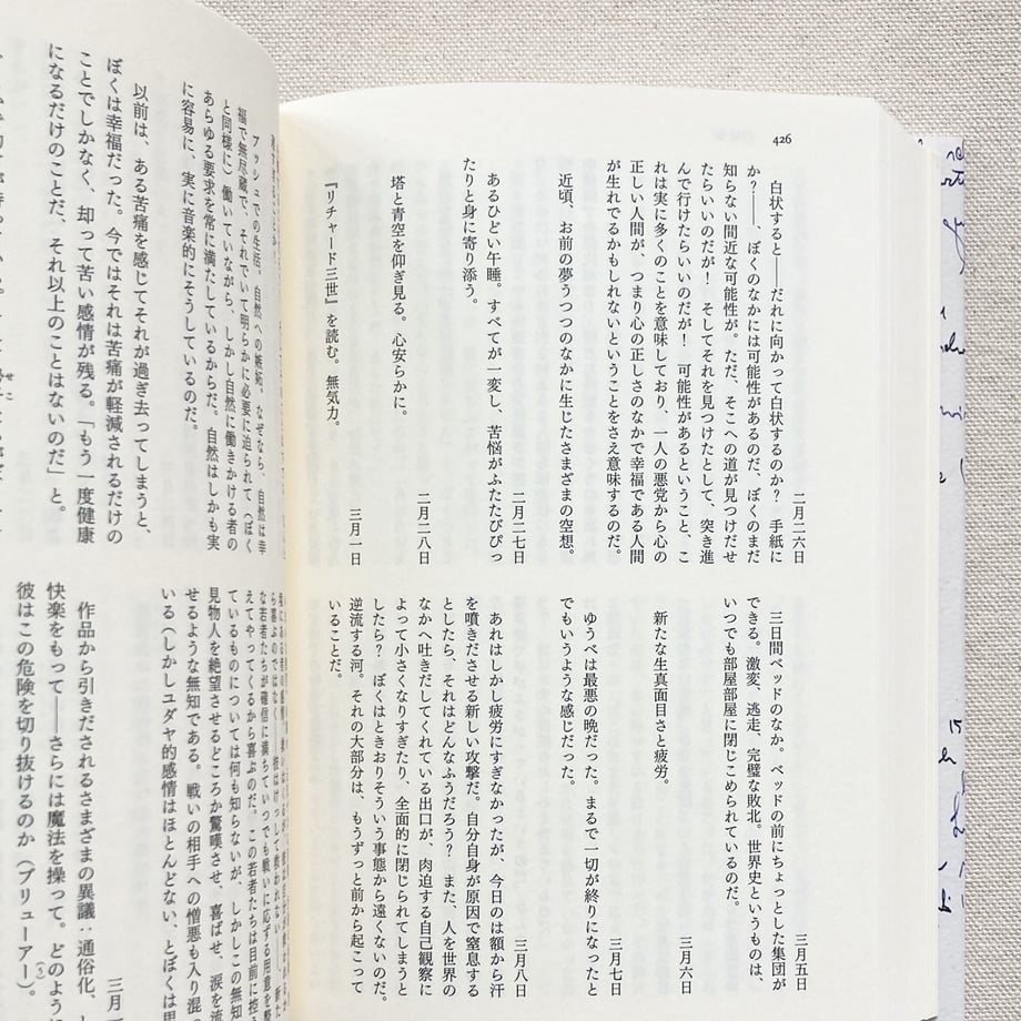 6624dc1d2987f6188c4381c5