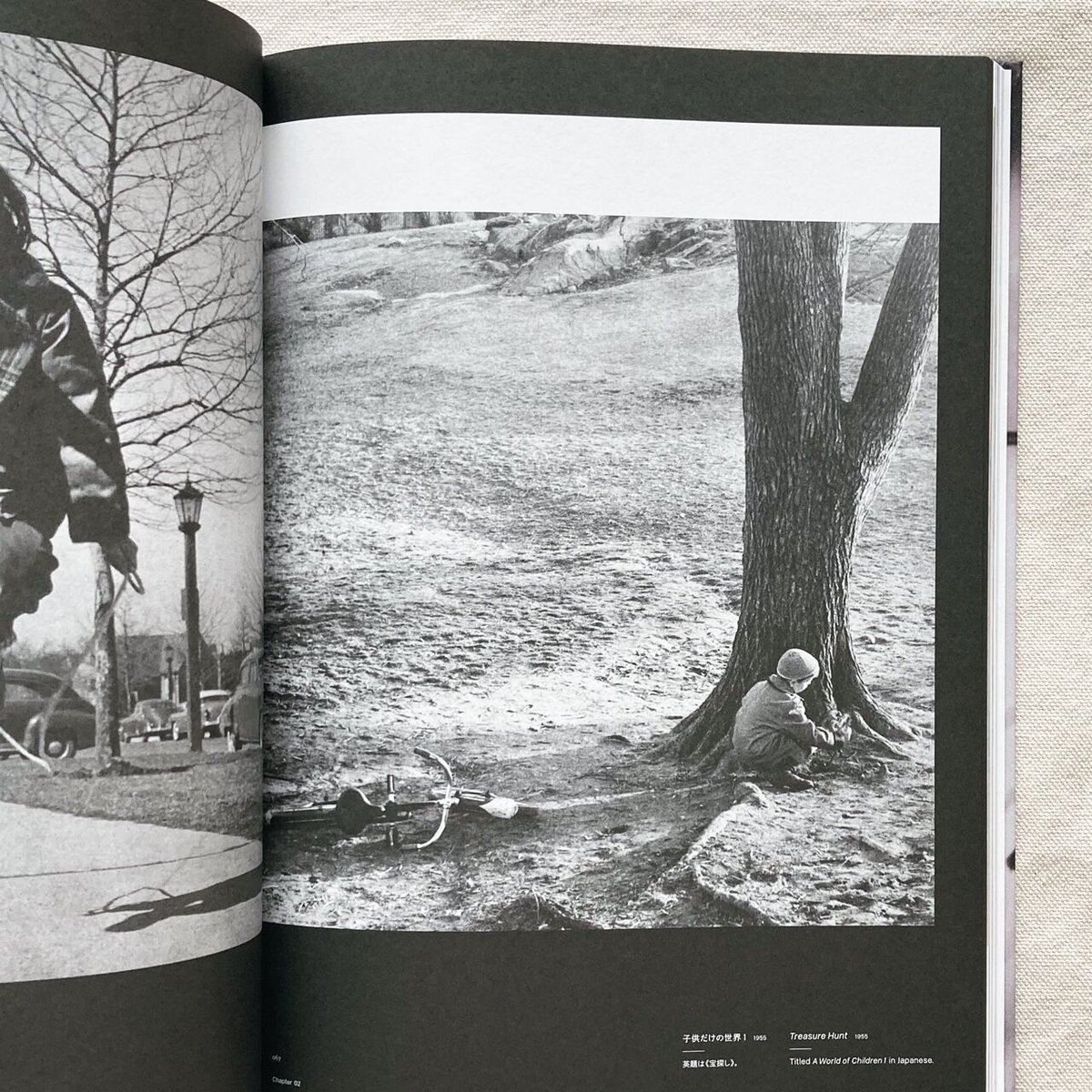 山沢栄子｜私の現代 | 曲線