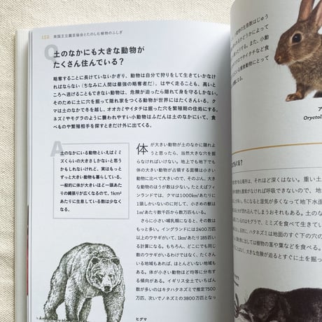 ガイ・バーター｜植物のふしぎ