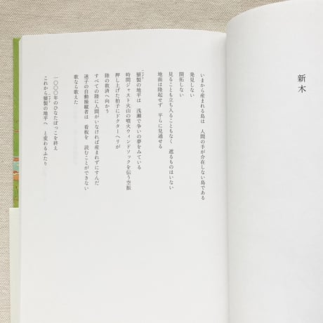 青柳菜摘｜亡船記