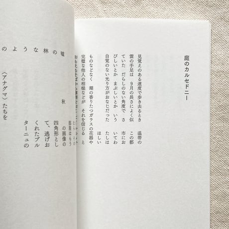 のもとしゅうへい｜通知センター
