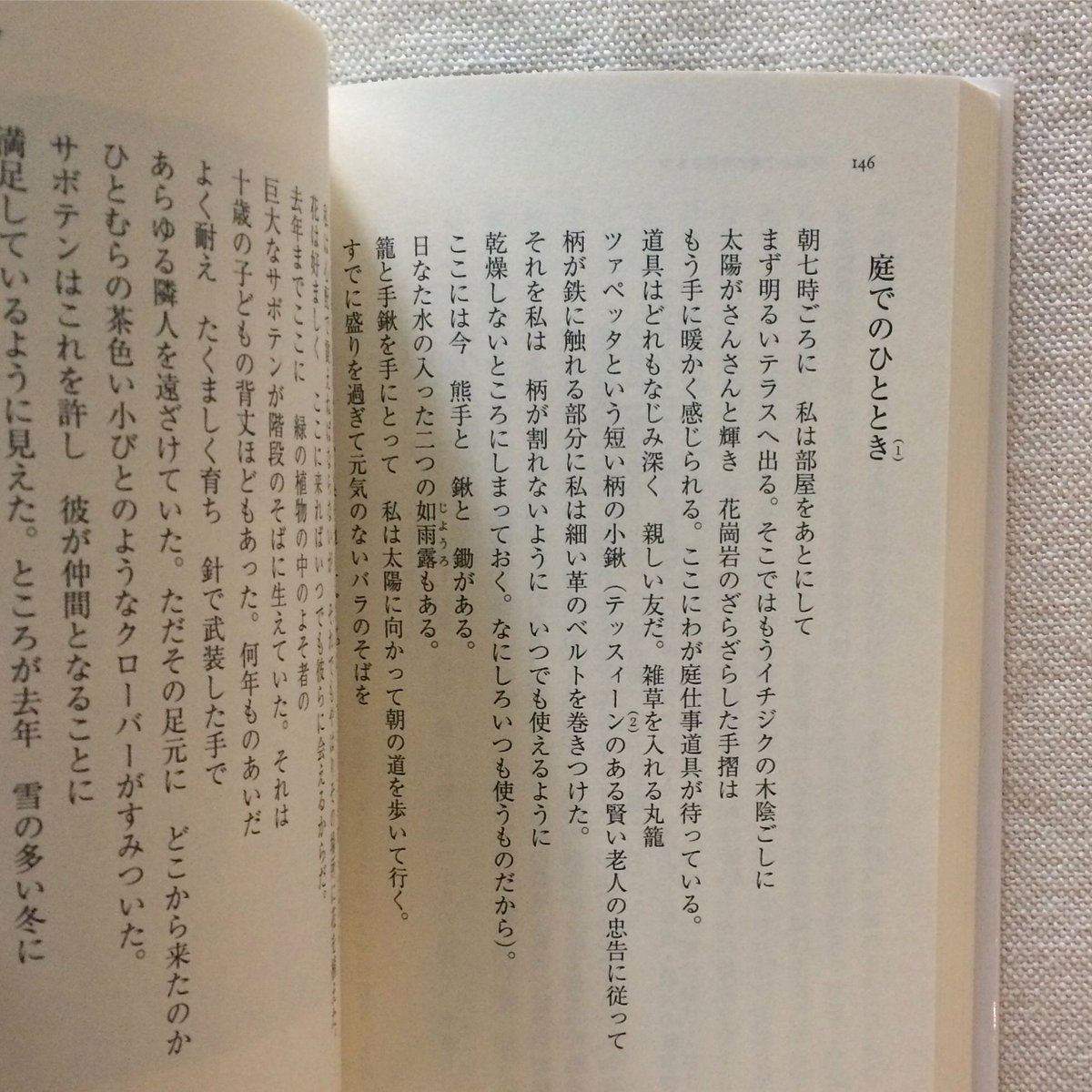 ヘルマン・ヘッセ|庭仕事の愉しみ | 曲線 ヘルマン・ヘッセ|庭仕事の愉しみ | 曲線