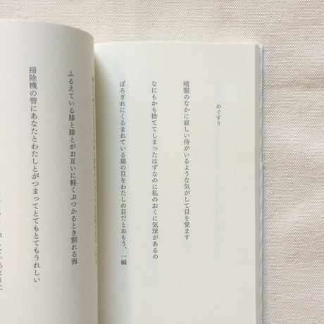 笹井宏之｜てんとろり