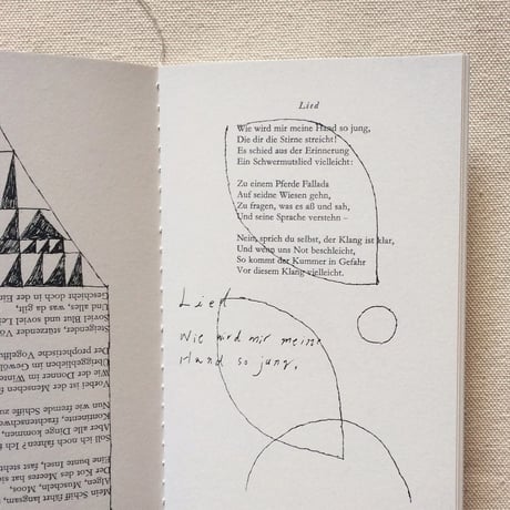 西淑｜DRAWINGS