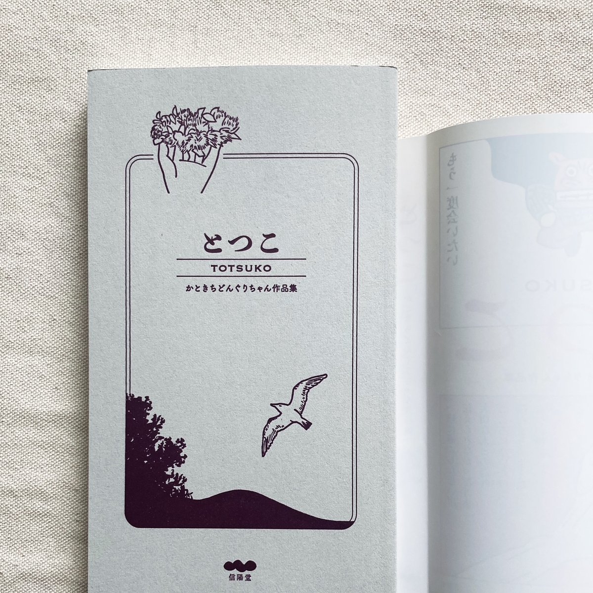 かときちどんぐりちゃん｜とつこ | 曲線