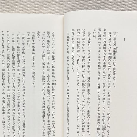 上林曉｜孤独先生
