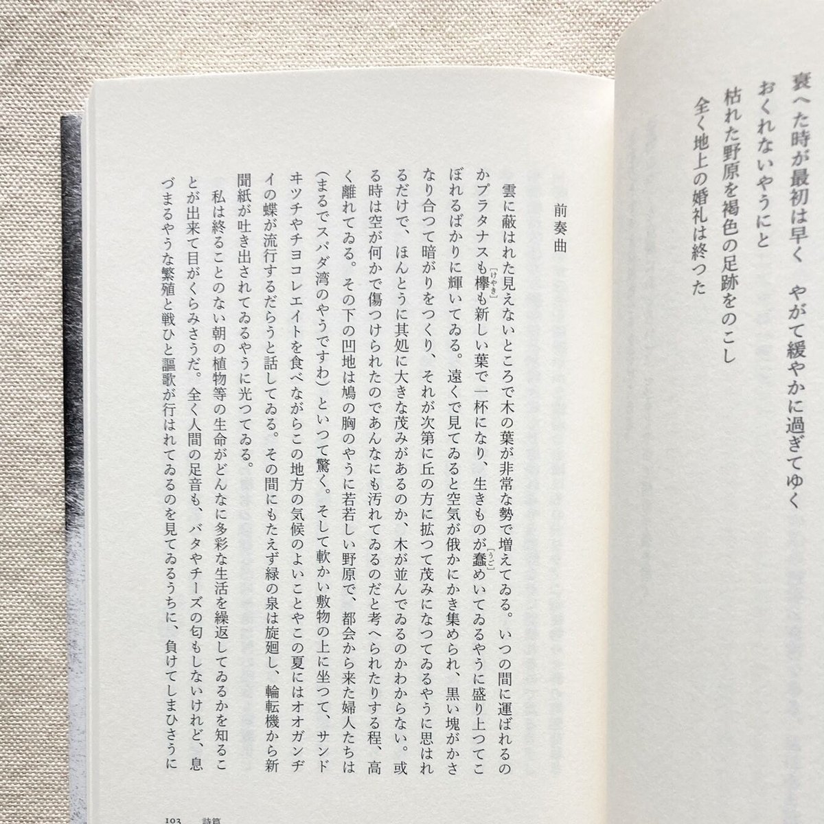 左川ちか全集 | 曲線