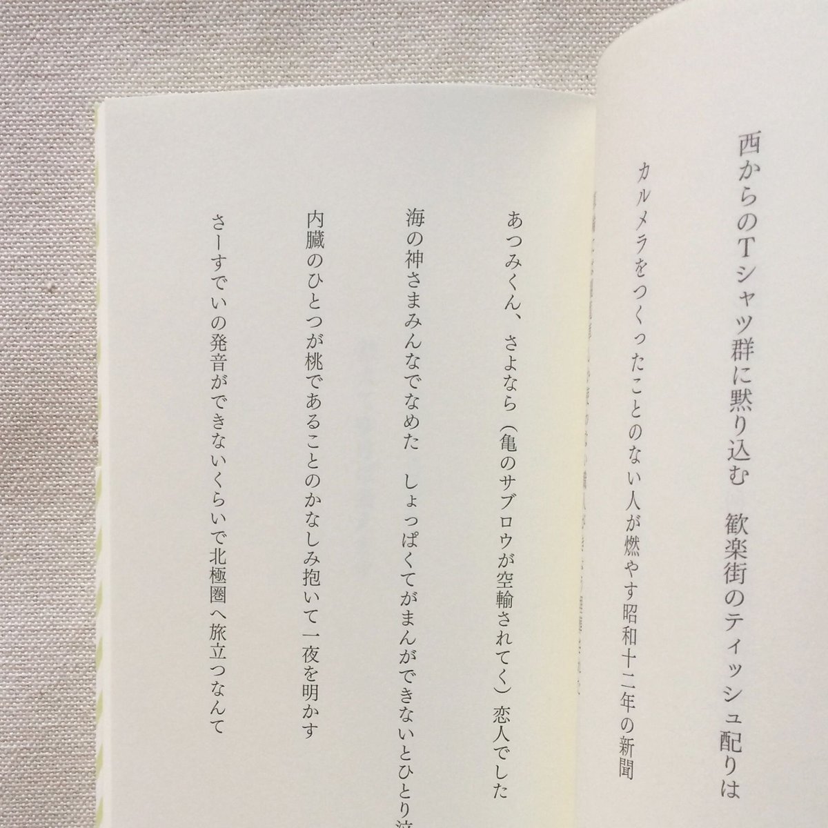 笹井宏之|ひとさらい | 曲線 笹井宏之|ひとさらい | 曲線