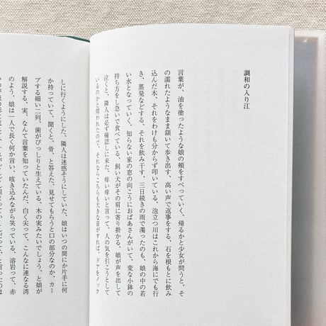井戸川射子｜遠景