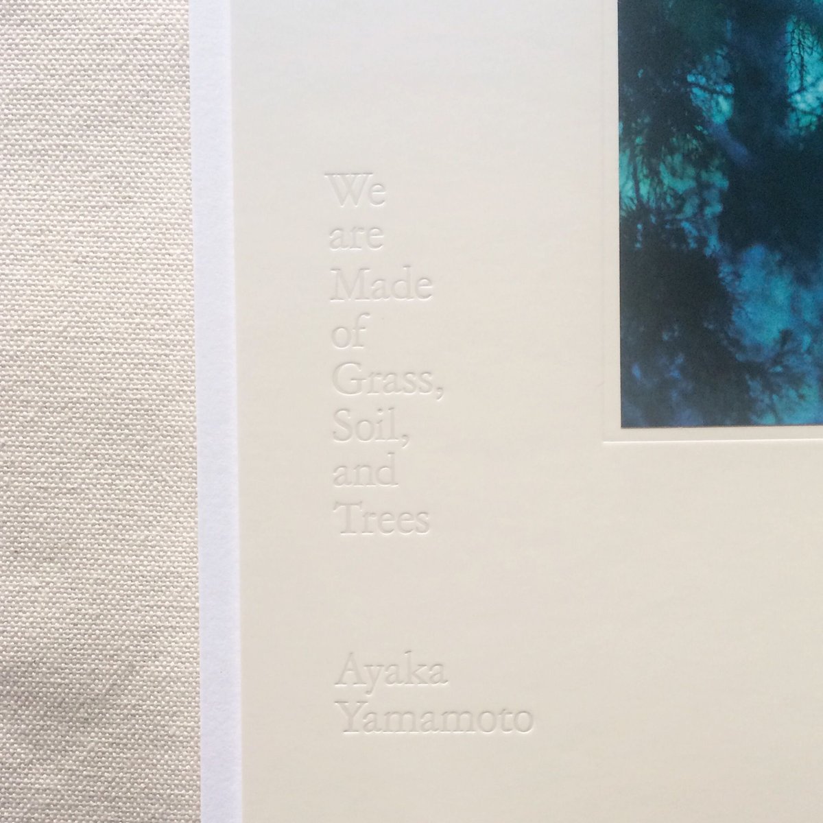 山元彩香|We are Made of Grass, Soil, and Trees | 曲線 山元彩香|We are Made of Grass, Soil, and Trees | 曲線