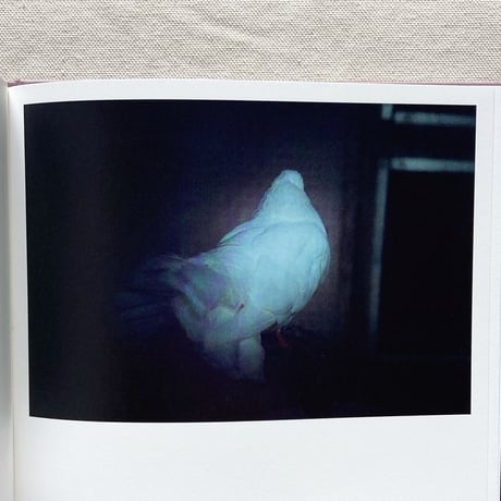 幸本紗奈｜other mementos
