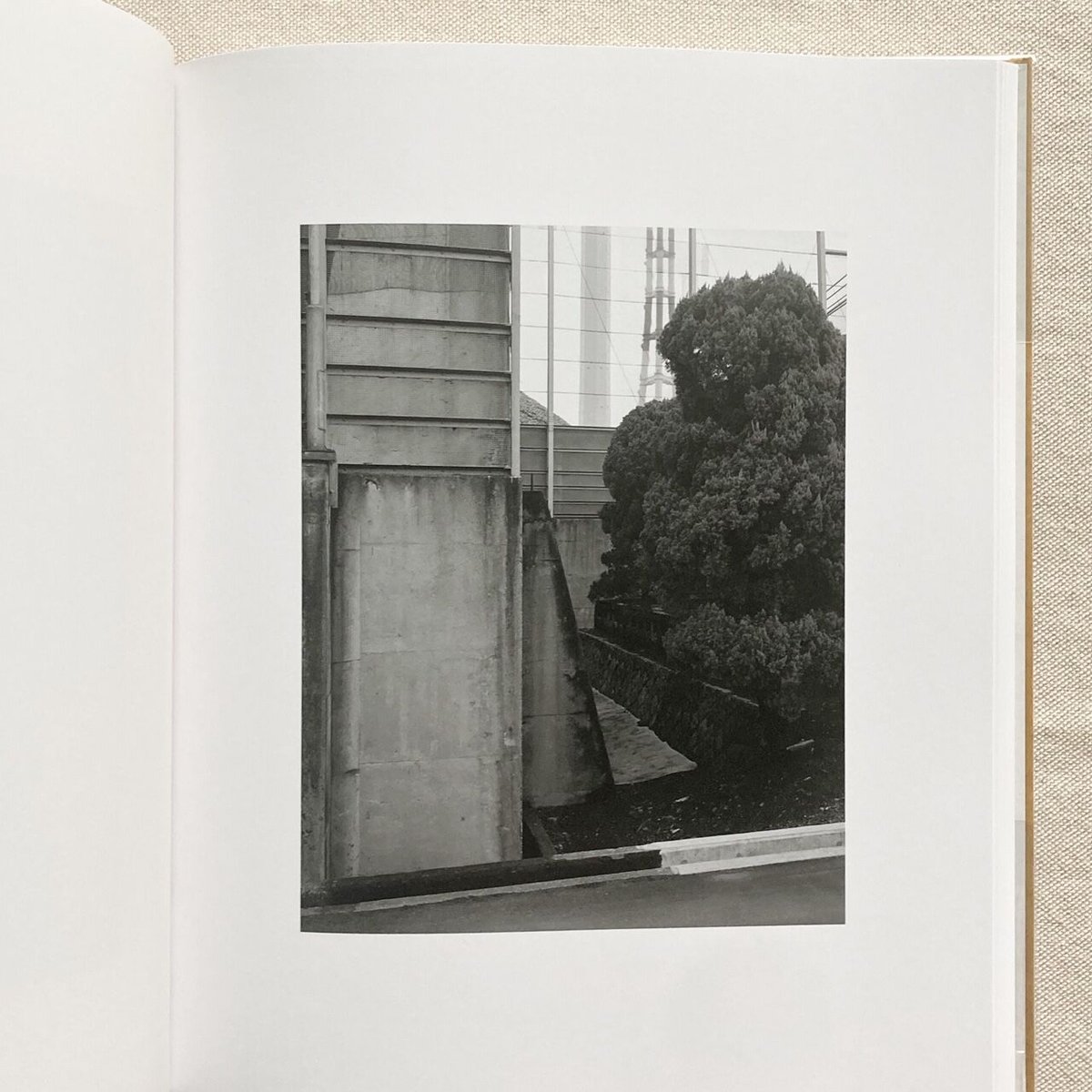 Gerry Johansson｜Ehime | 曲線