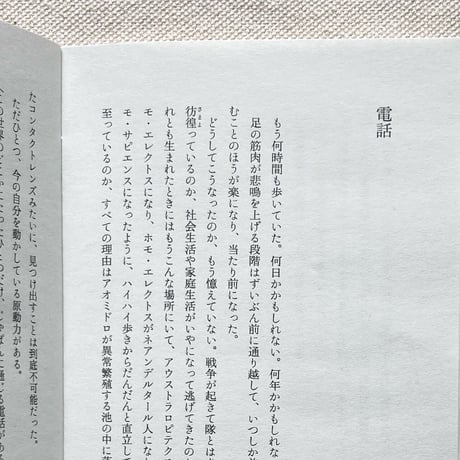 かとうひろみ｜小さい本屋の小さい小説