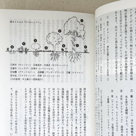 mahora 第4号