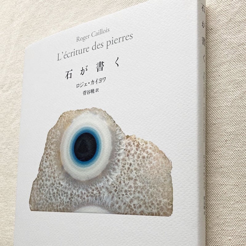 ロジェ・カイヨワ｜石が書く | 曲線