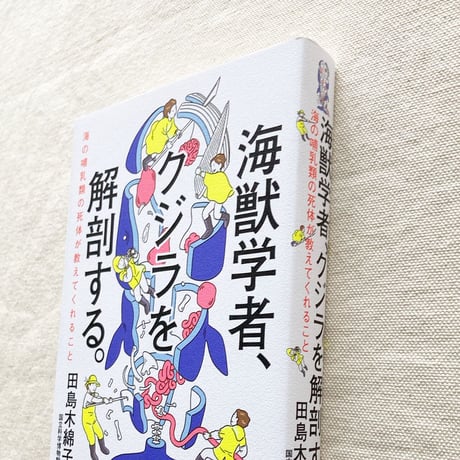 田島木綿子｜海獣学者、クジラを解剖する。